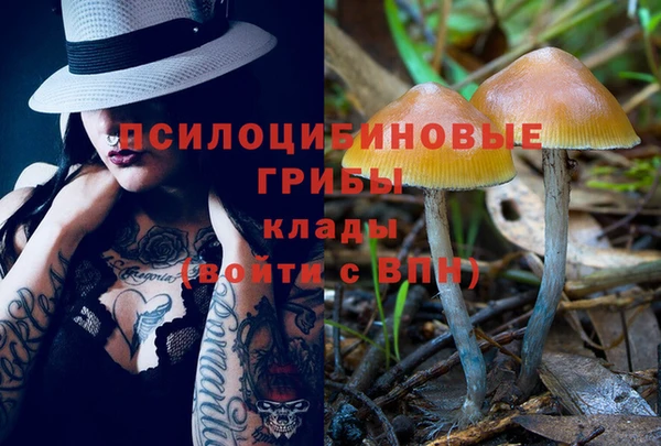 спайс Алексин