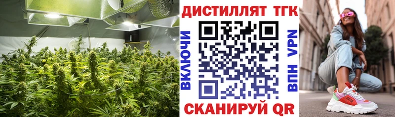 Дистиллят ТГК гашишное масло  продажа наркотиков  Сельцо 